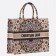 Dior Book Tote Bag Embroidered KaleiDiorscopic